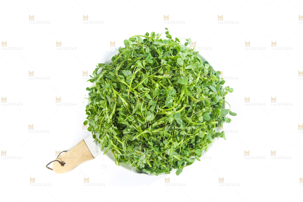 白底上的苜蓿菜