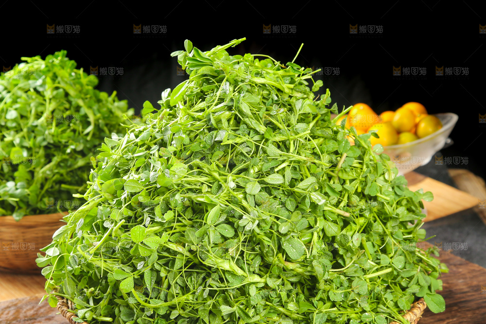 深底上的苜蓿菜