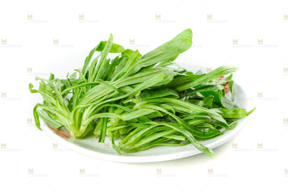 白底上的面条菜