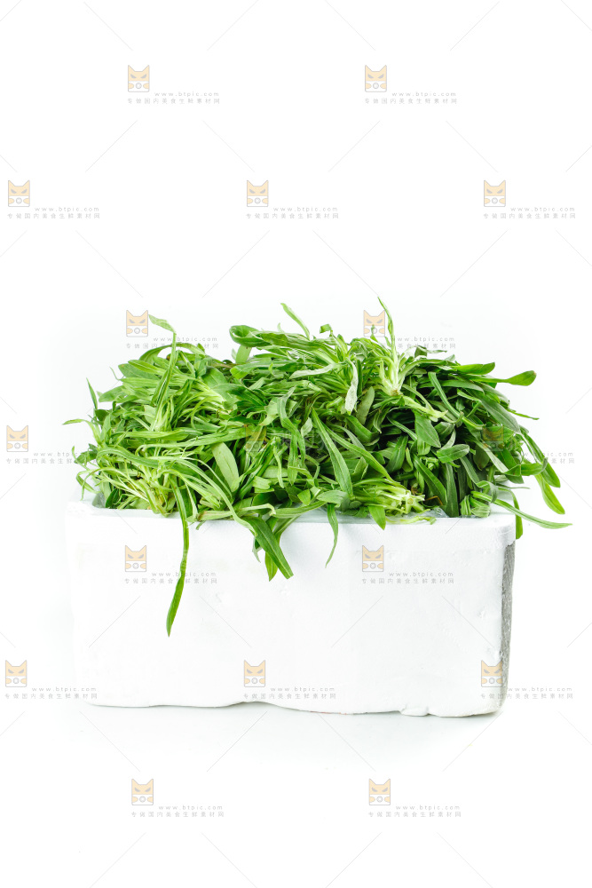 白底上的面条菜