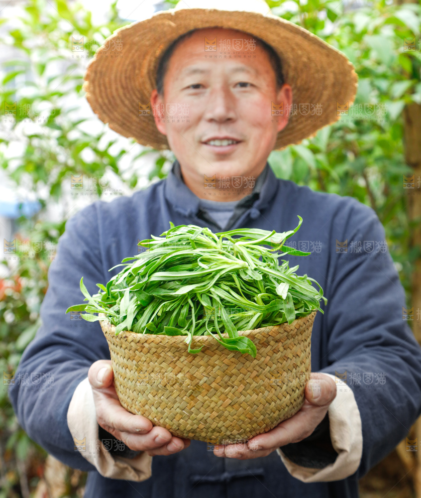 手里拿着面条菜