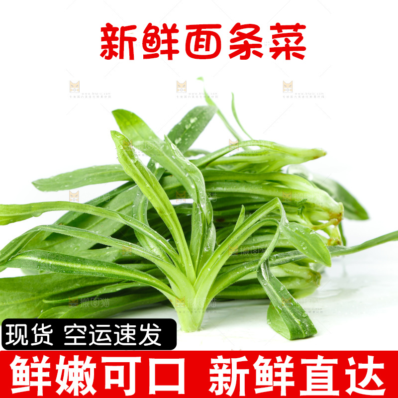 白底上的面条菜