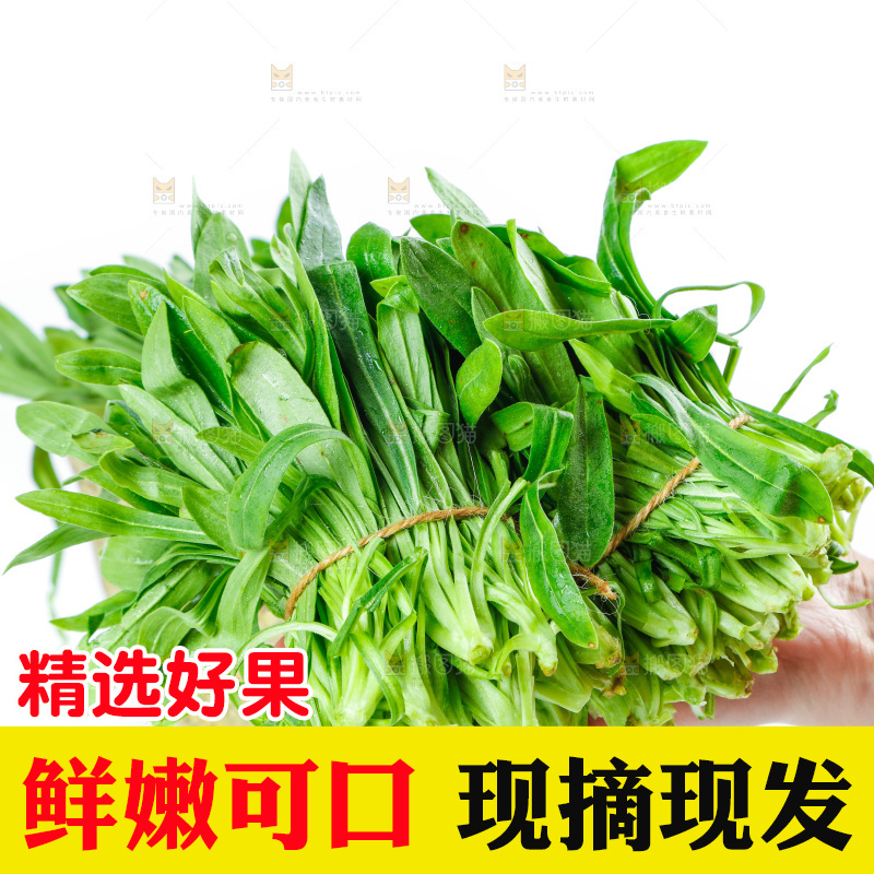 白底上的面条菜