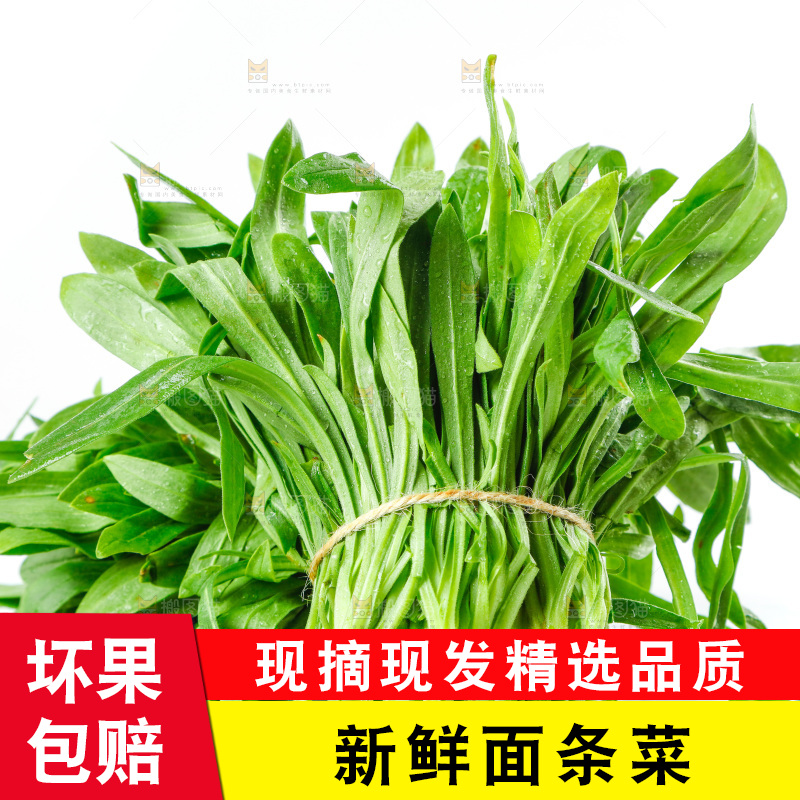 白底上的面条菜