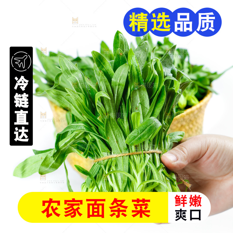白底上的面条菜