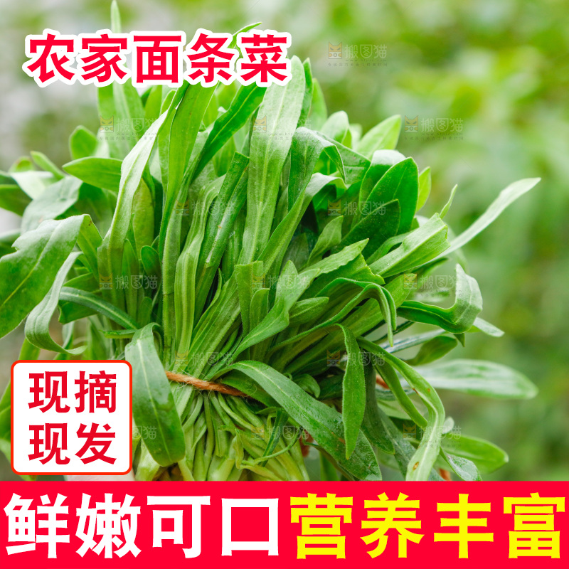 手里拿着面条菜