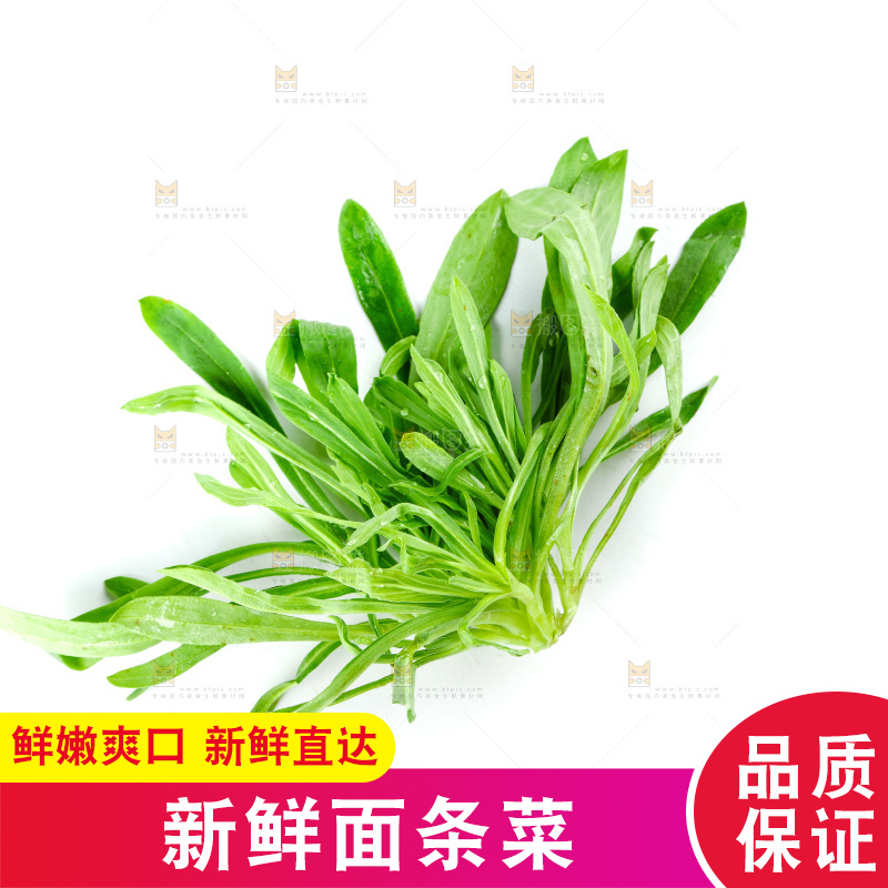 白底上的面条菜