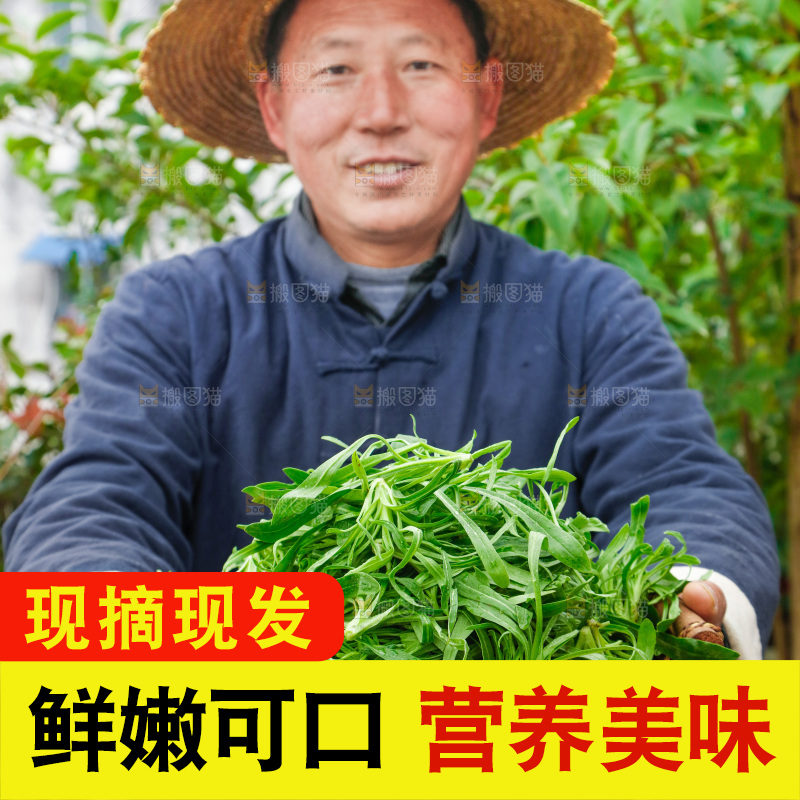 手里拿着面条菜