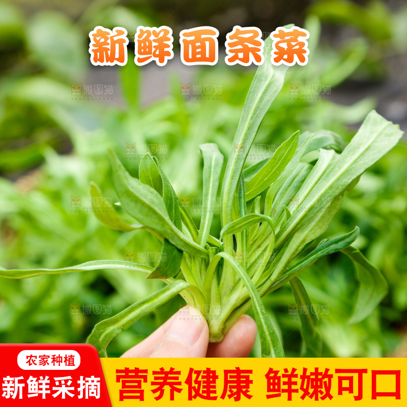 手里拿着面条菜