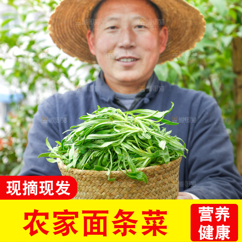 手里拿着面条菜