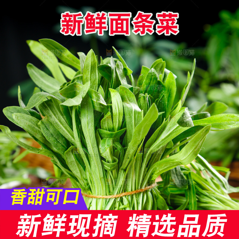 深底上的面条菜