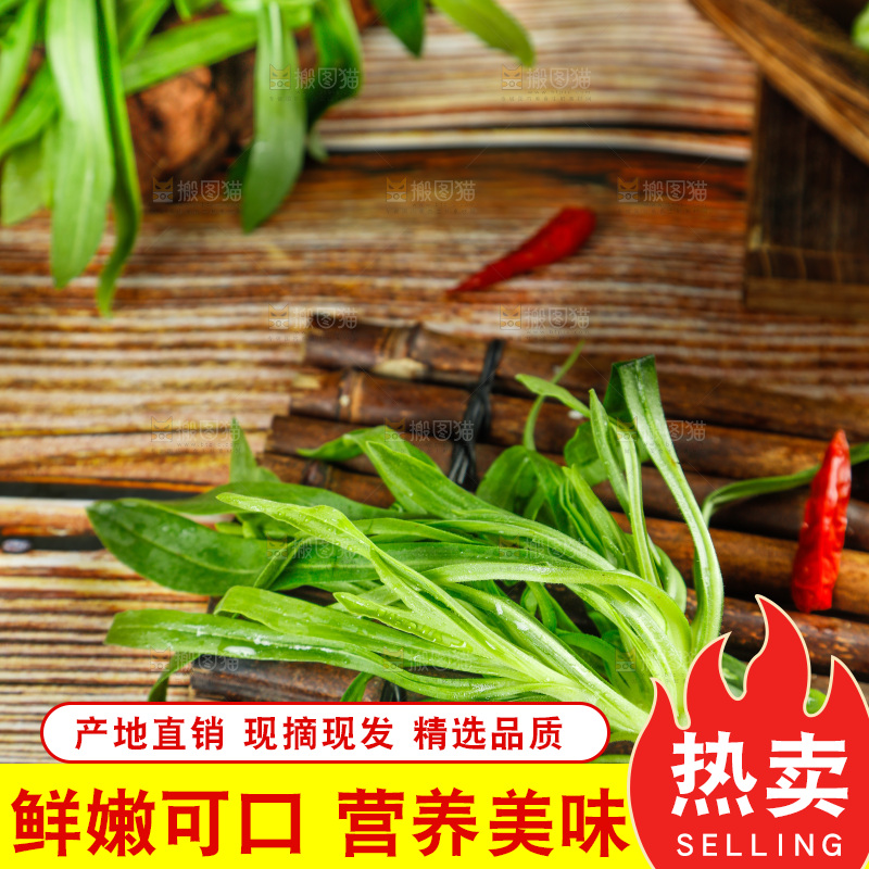 深底上的面条菜