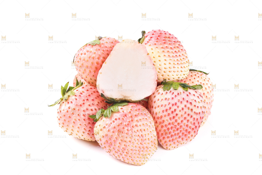 白底上的淡雪草莓