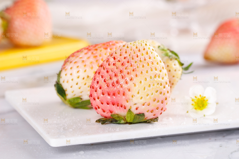 浅底上的淡雪草莓