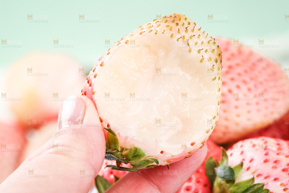 浅底上的淡雪草莓