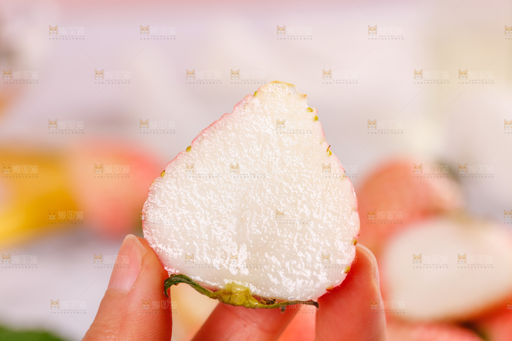浅底上的淡雪草莓