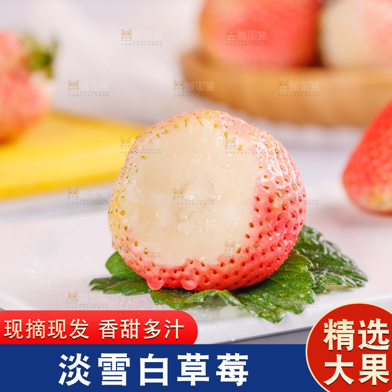 浅底上的淡雪草莓