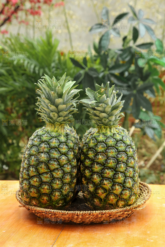 深底上的新鲜凤梨