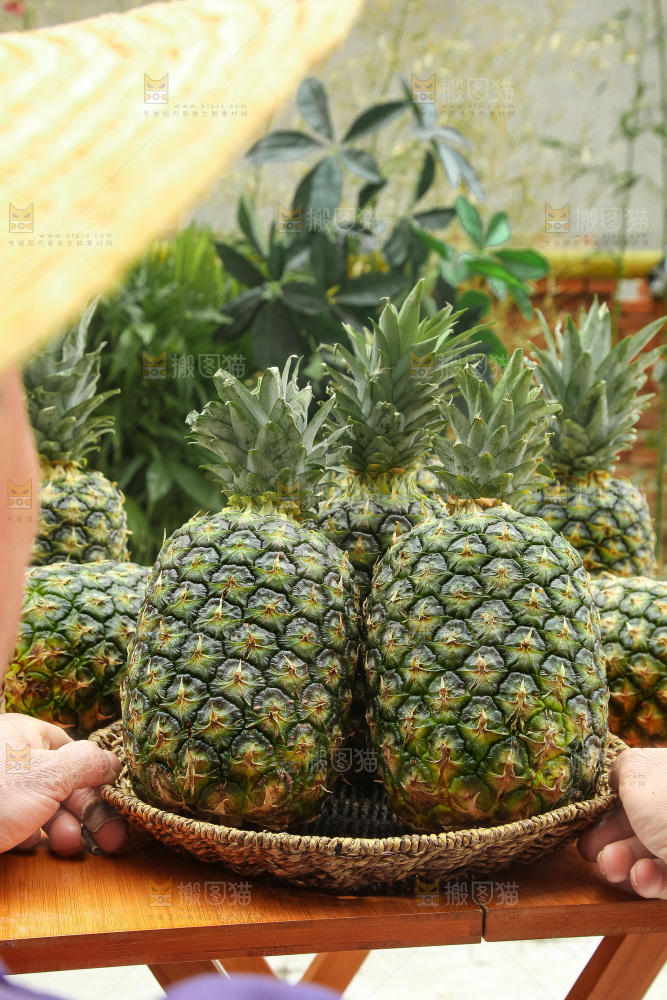 手里拿着新鲜凤梨