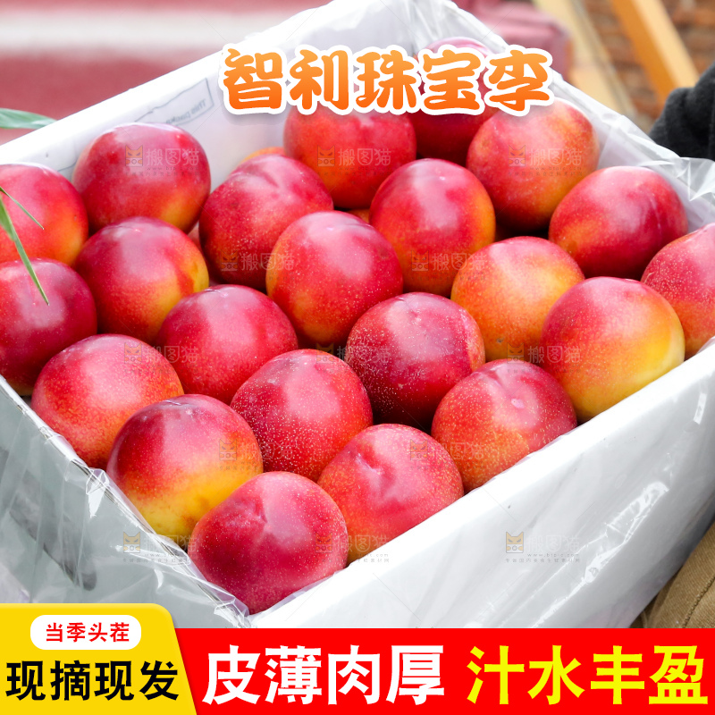 手里拿着珠宝李