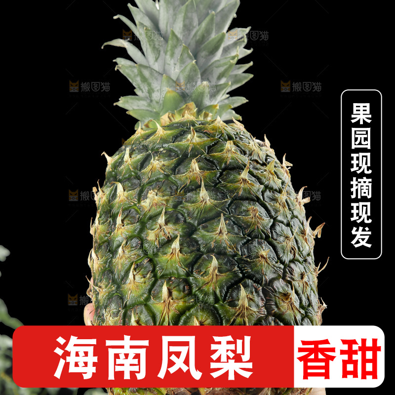 深底上的新鲜凤梨