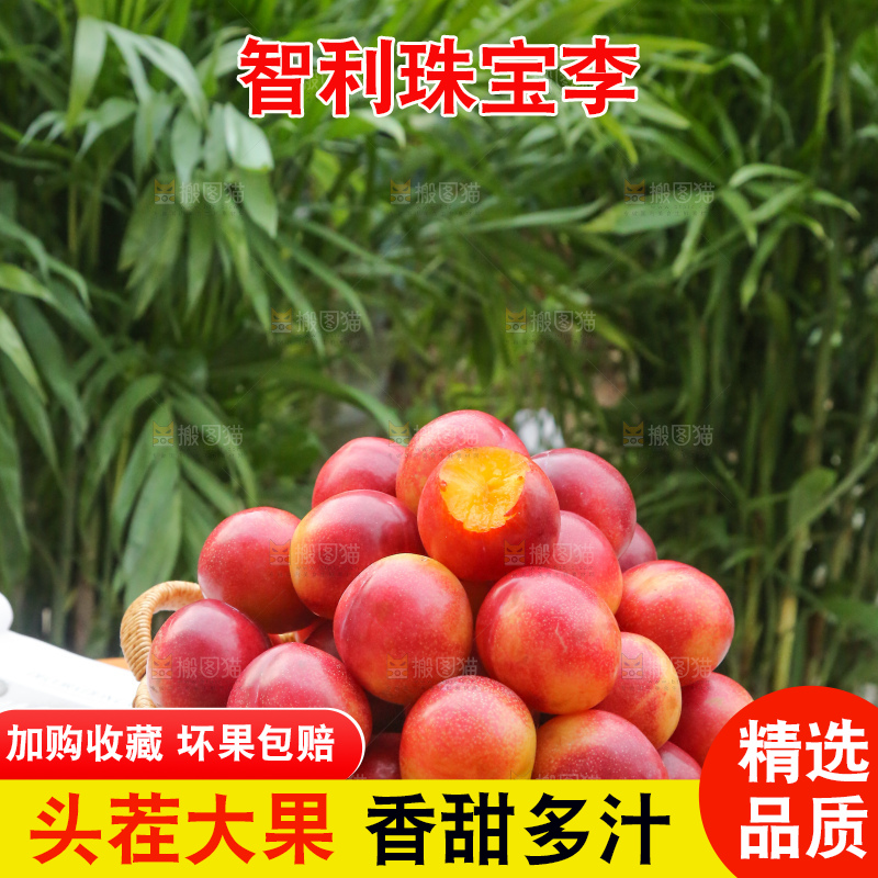 木底上的珠宝李