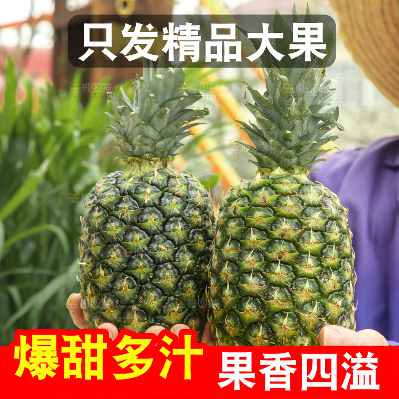 手里拿着新鲜凤梨
