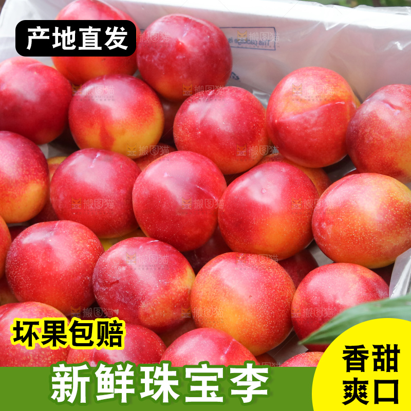 手里拿着珠宝李
