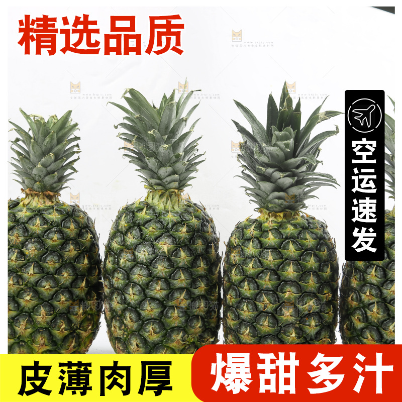 白底上的新鲜凤梨