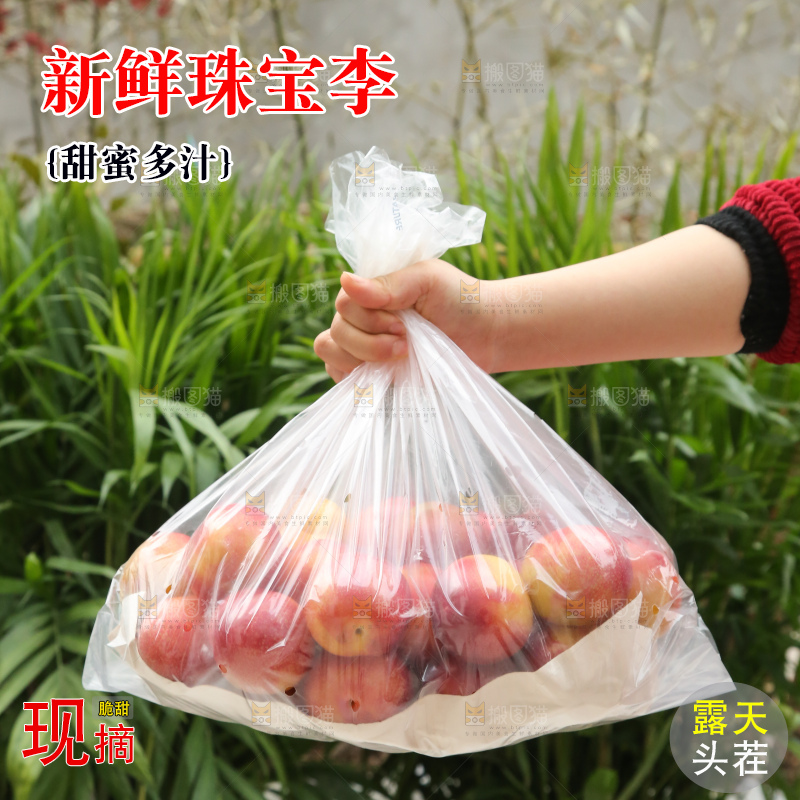 手里拿着珠宝李