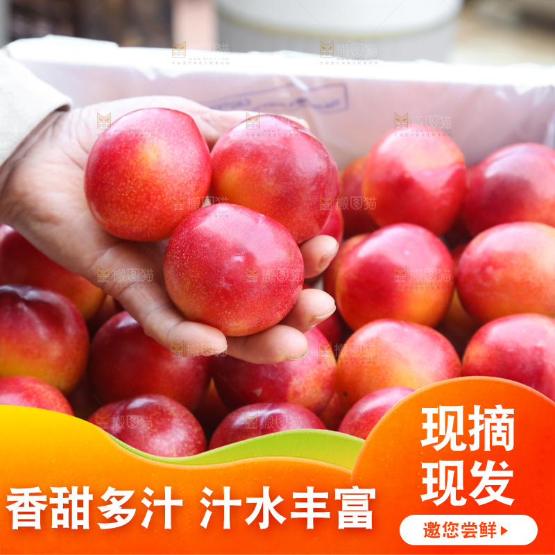 木底上的珠宝李