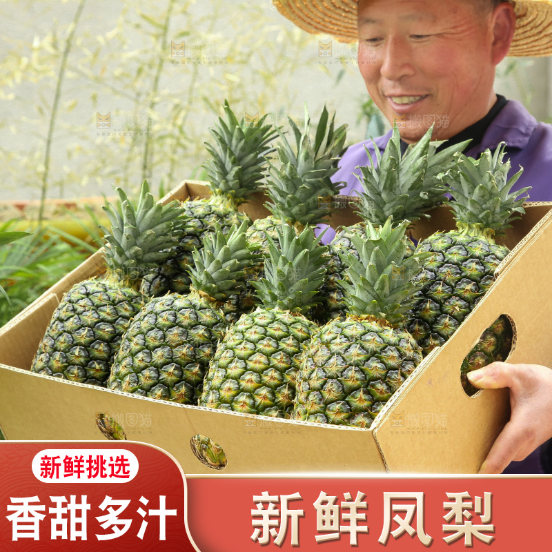 手里拿着新鲜凤梨