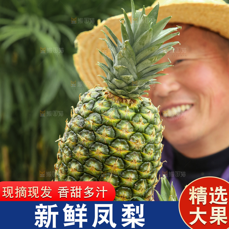 手里拿着新鲜凤梨