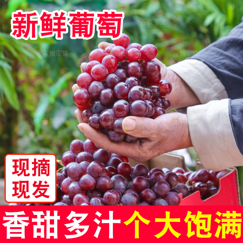 手里拿着新鲜葡萄