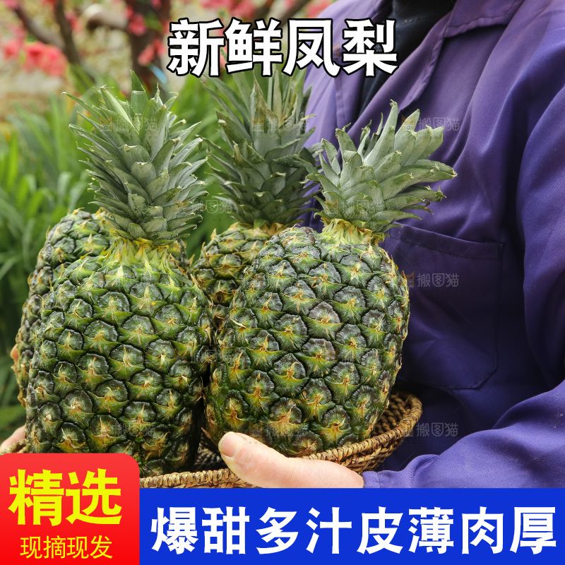 手里拿着新鲜凤梨