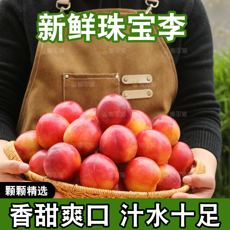 手里拿着珠宝李