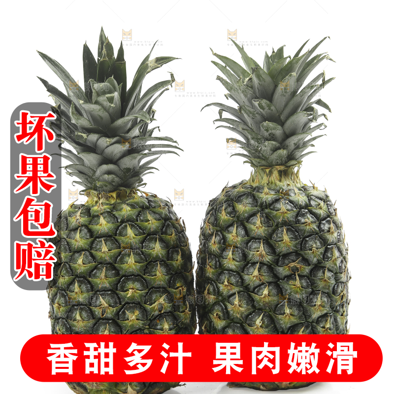 白底上的新鲜凤梨