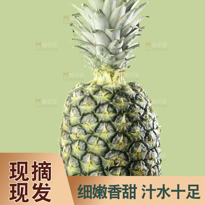 深底上的新鲜凤梨