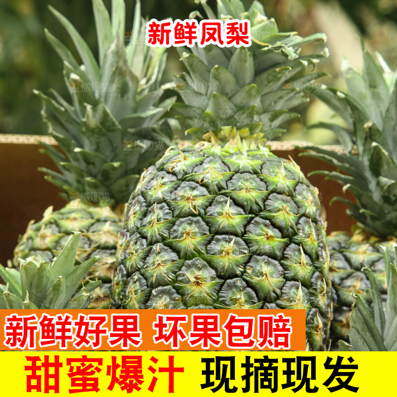 深底上的新鲜凤梨