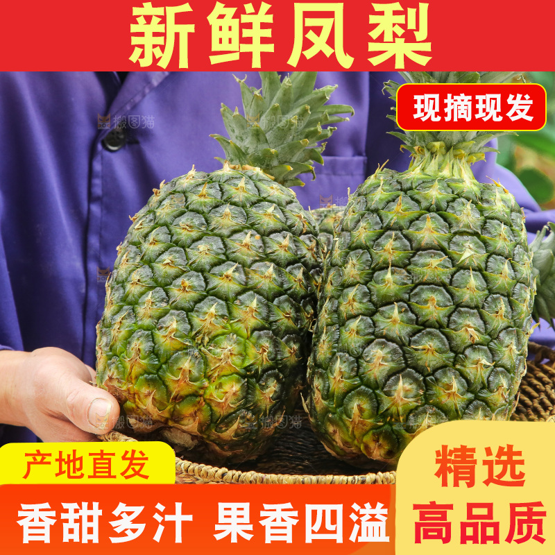 手里拿着新鲜凤梨
