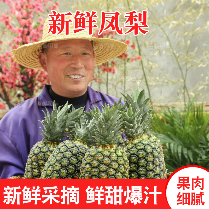 手里拿着新鲜凤梨