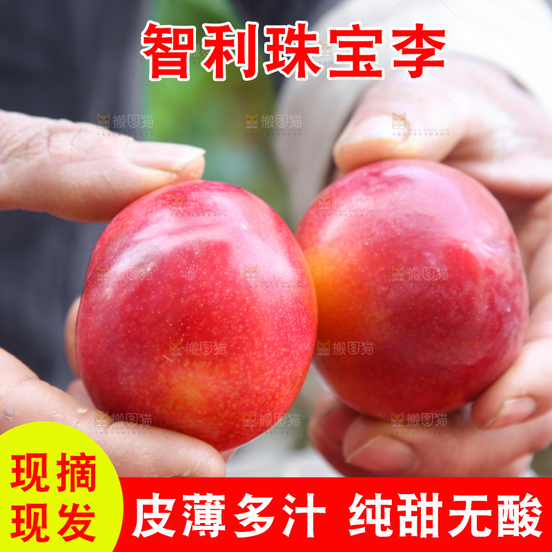 木底上的珠宝李