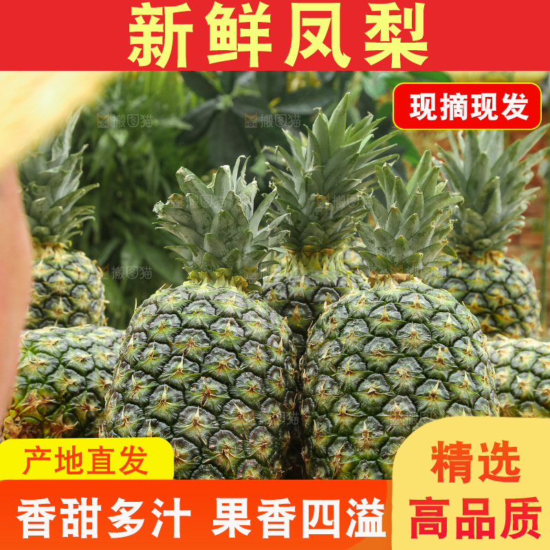 手里拿着新鲜凤梨