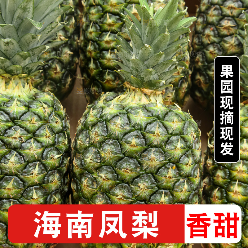 深底上的新鲜凤梨