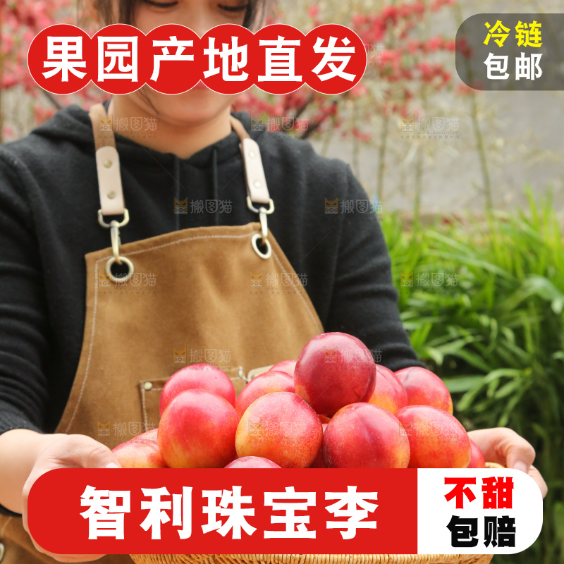 手里拿着珠宝李