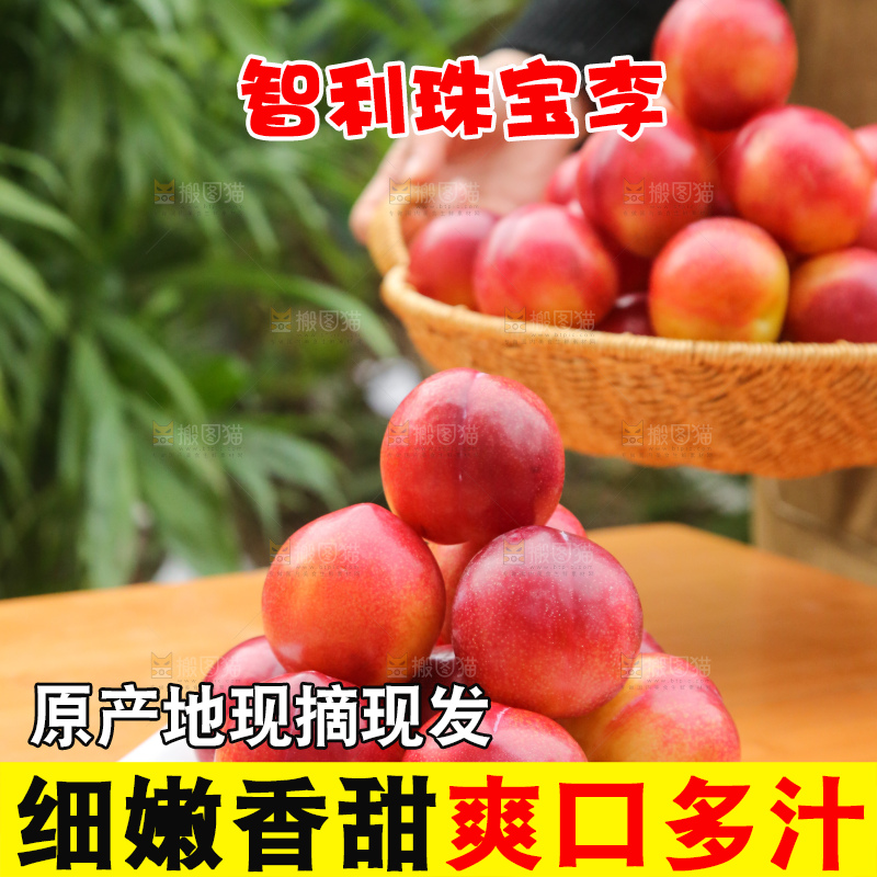 木底上的珠宝李