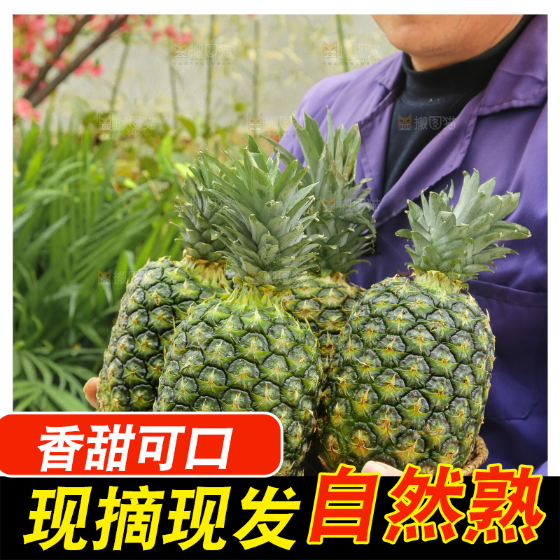 手里拿着新鲜凤梨