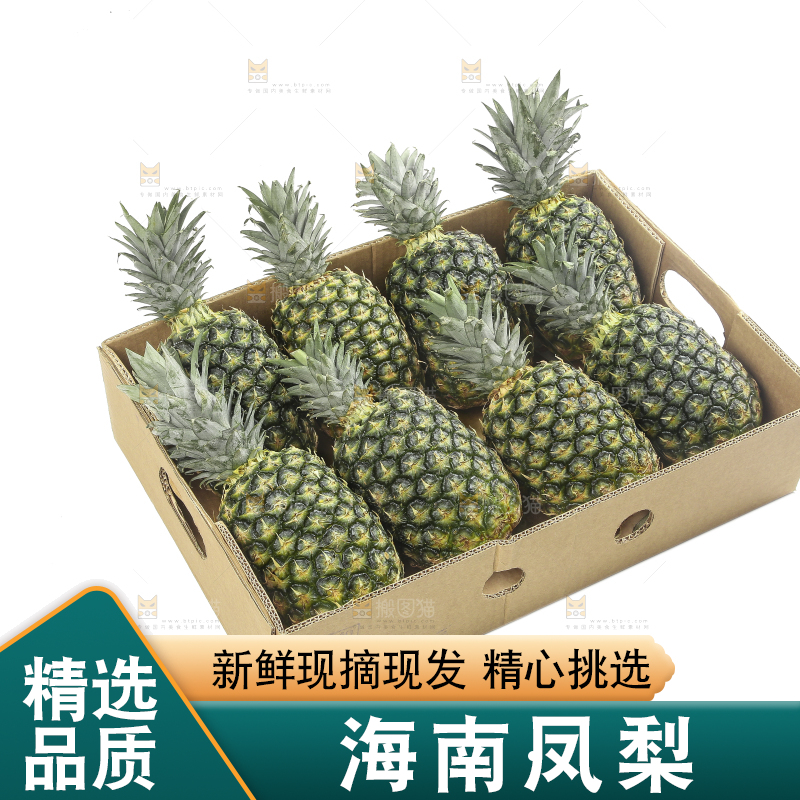 白底上的新鲜凤梨