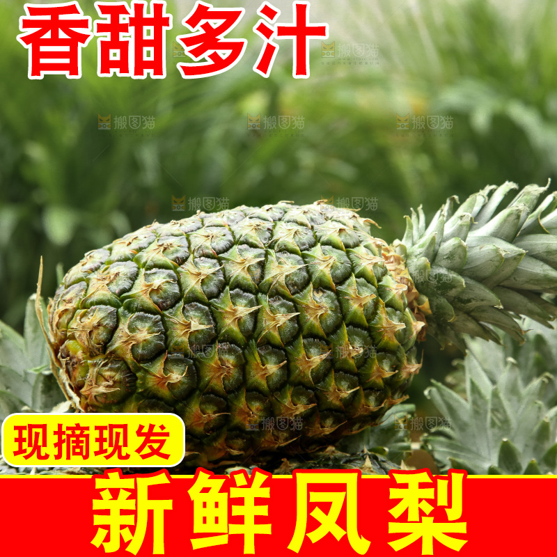 深底上的新鲜凤梨