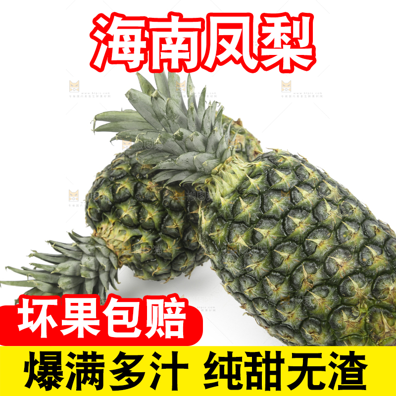 白底上的新鲜凤梨